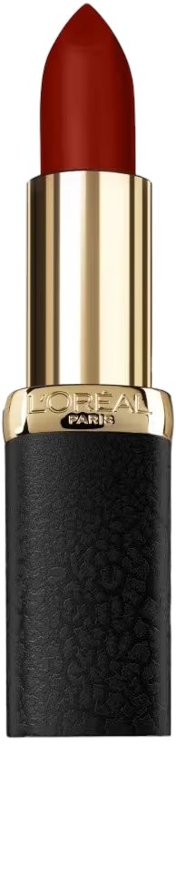 Rouge à lèvres matte 348 Brick Vintage de L'Oréal